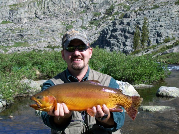 fishing planet unique colorado golden trout