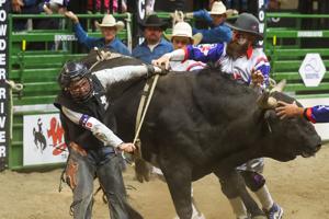 Bulls, Broncs and Breakaway