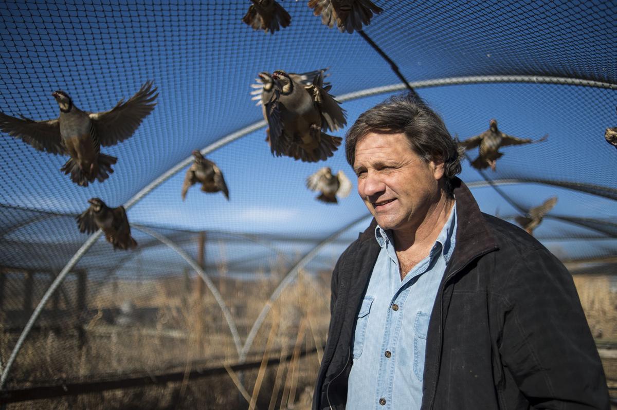 A Wyoming bird farmer hopes to raise imperiled sage grouse, but