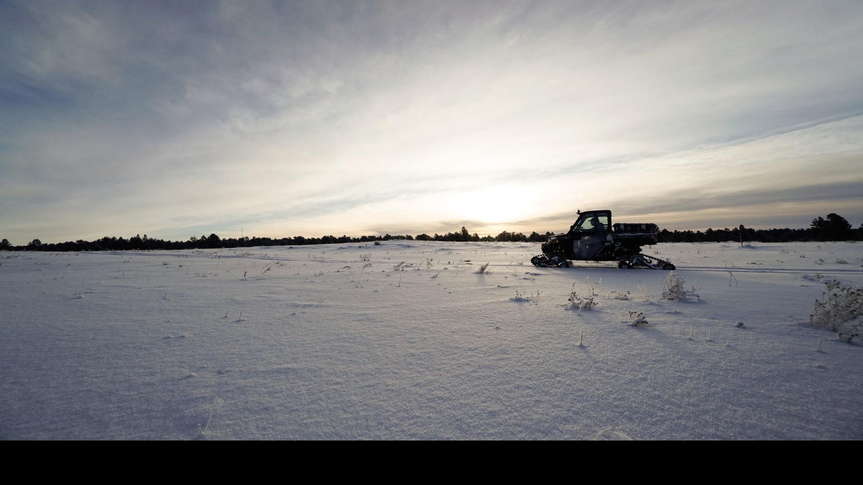 Trapper Numbers In Wyoming Increase Wyoming News Trib Com