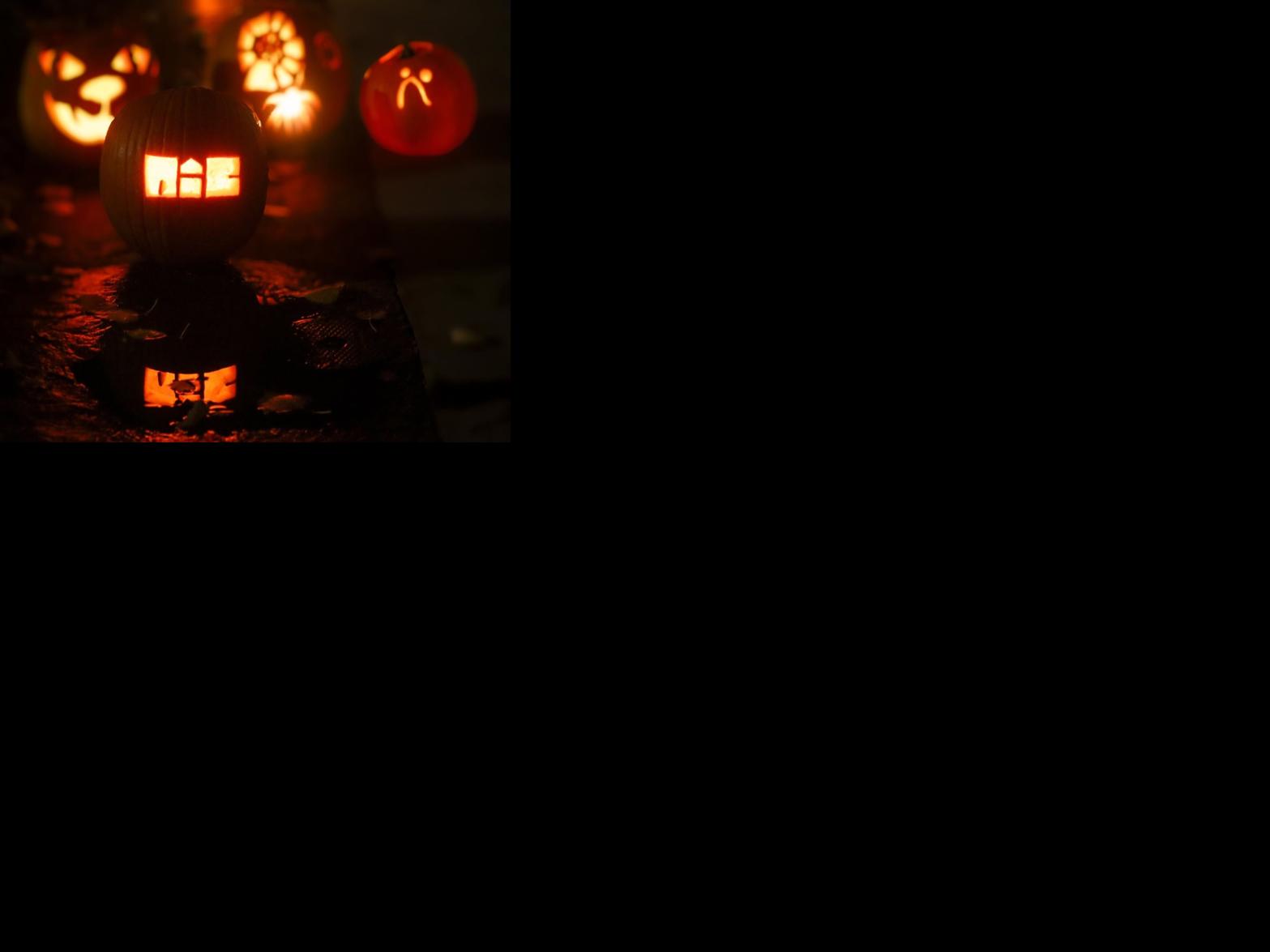 Asset-image