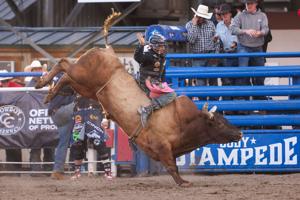 Cody Stampede Xtreme Bulls