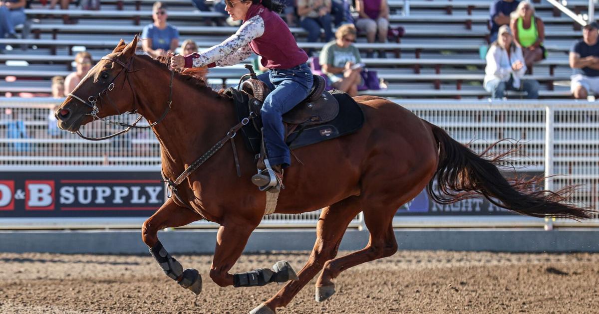 Pro Rodeo Prj PRCA/WPRA pro rodeo world standings through Aug. 16