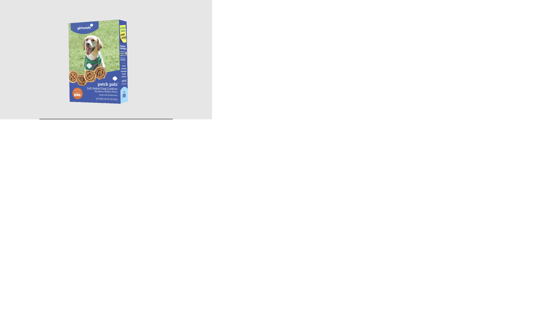 Asset-image