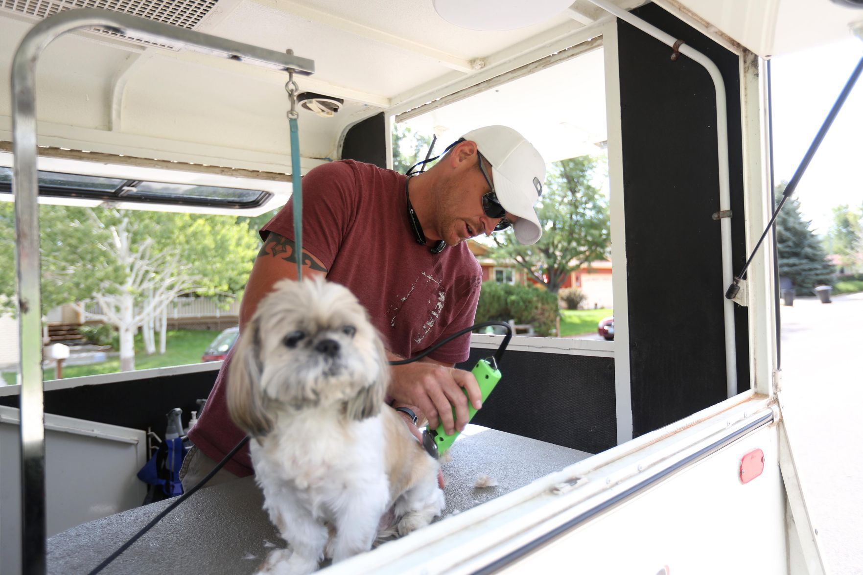 small dog grooming