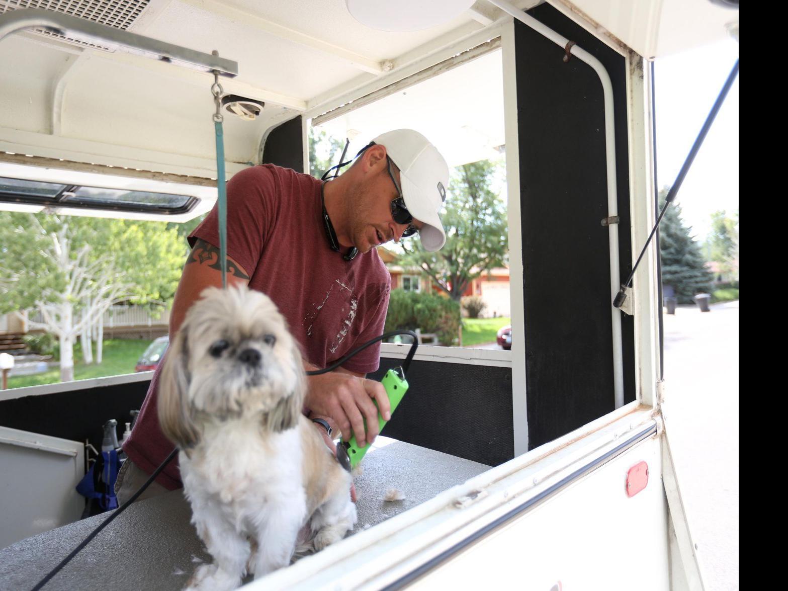 After Oil Layoff Casper Man Tries His Hand At Dog Grooming Casper Trib Com