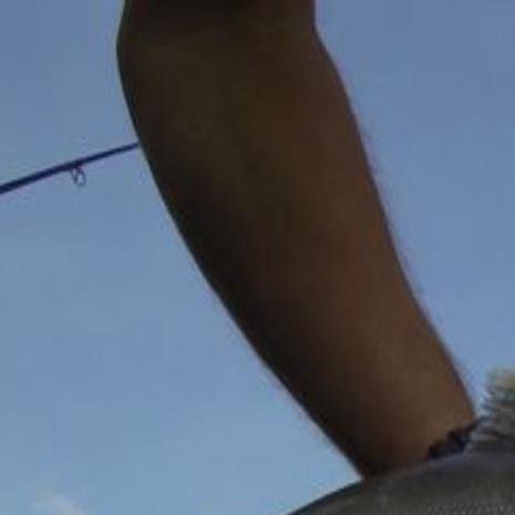 Utah Wyoming Work Together To Estimate Kokanee Population Open Spaces Trib Com