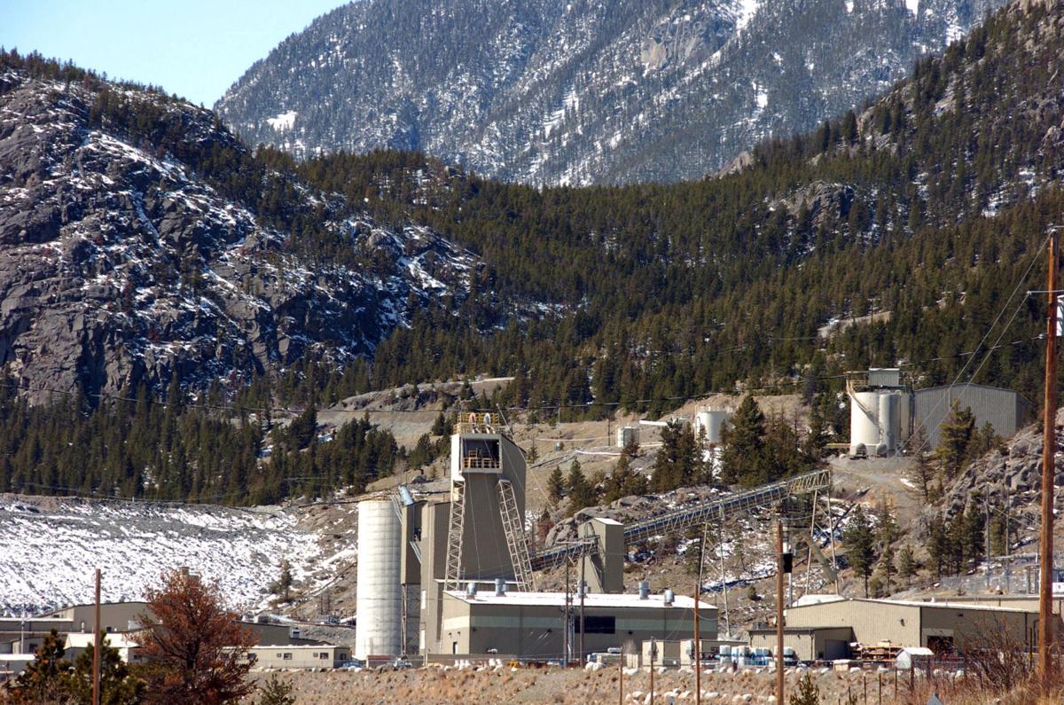 Montana Platinum