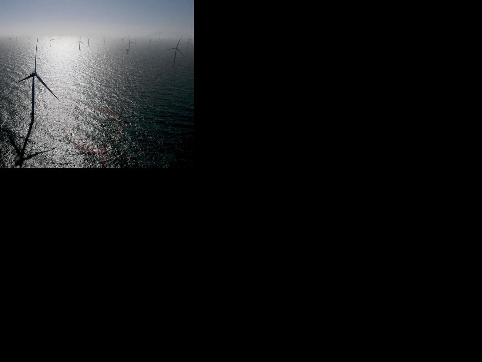 Asset-image