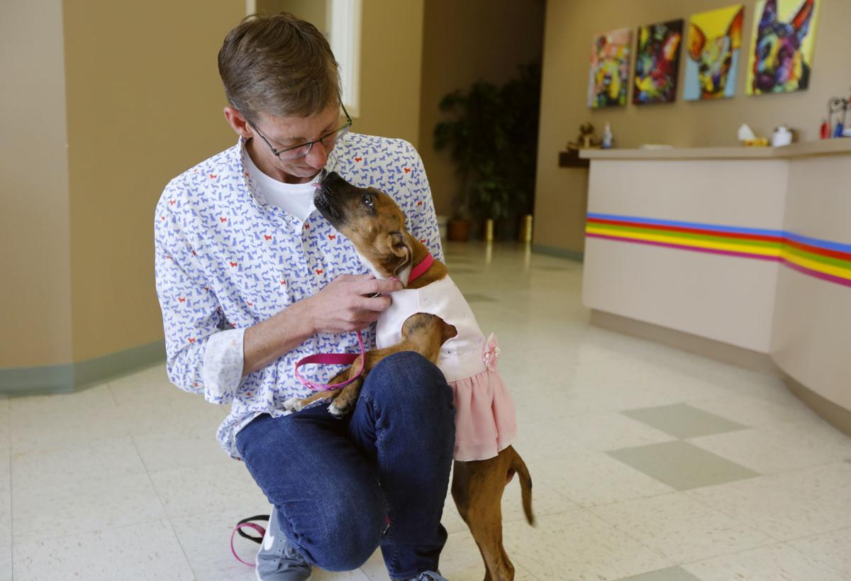 Saturday Benefit To Feature Dogs In Formalwear Casper Trib Com