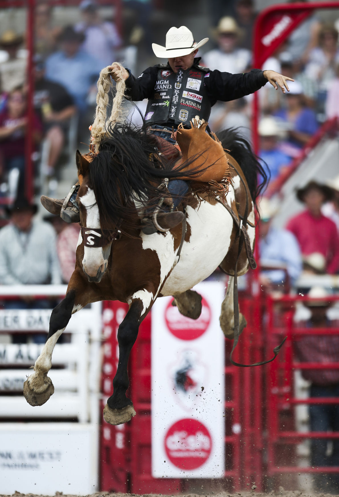 Hillsdale s Brody Cress sits second in PRCA saddle bronc standings