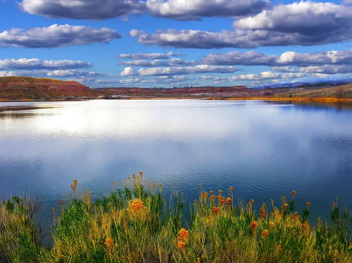 Leavitt Reservoir