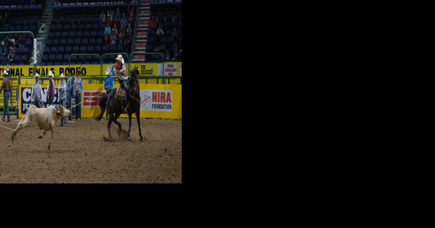 2023 College National Finals Rodeo 2nd goround results and average leaders