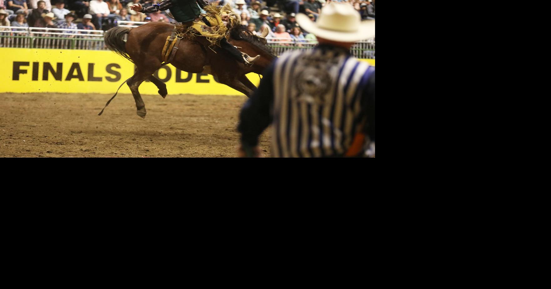 2023 College National Finals Rodeo short go-round and average results