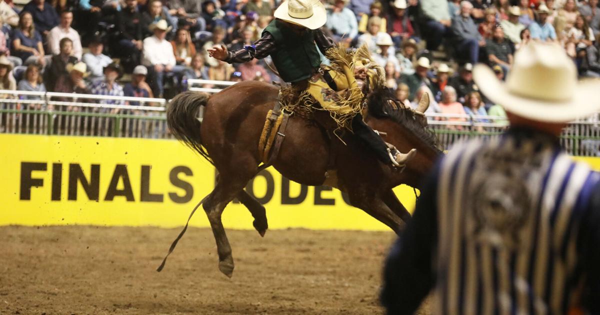 2023 College National Finals Rodeo short go-round and average results