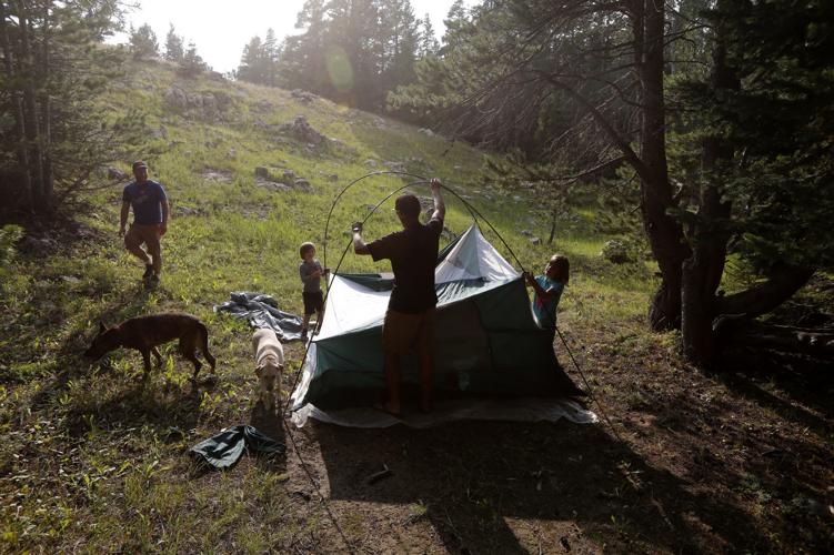 are dogs allowed at casper campground