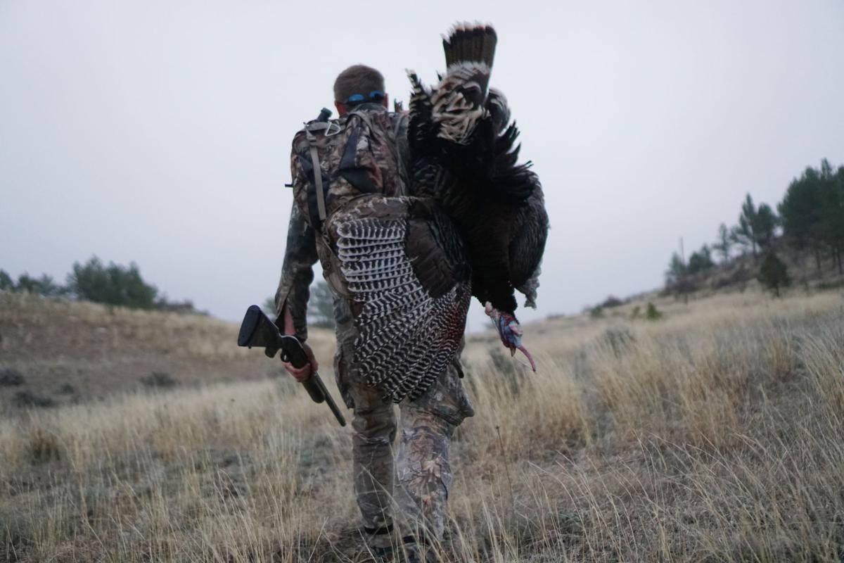 Turkey hunting 101 Cover up, be patient, and other tips from veteran