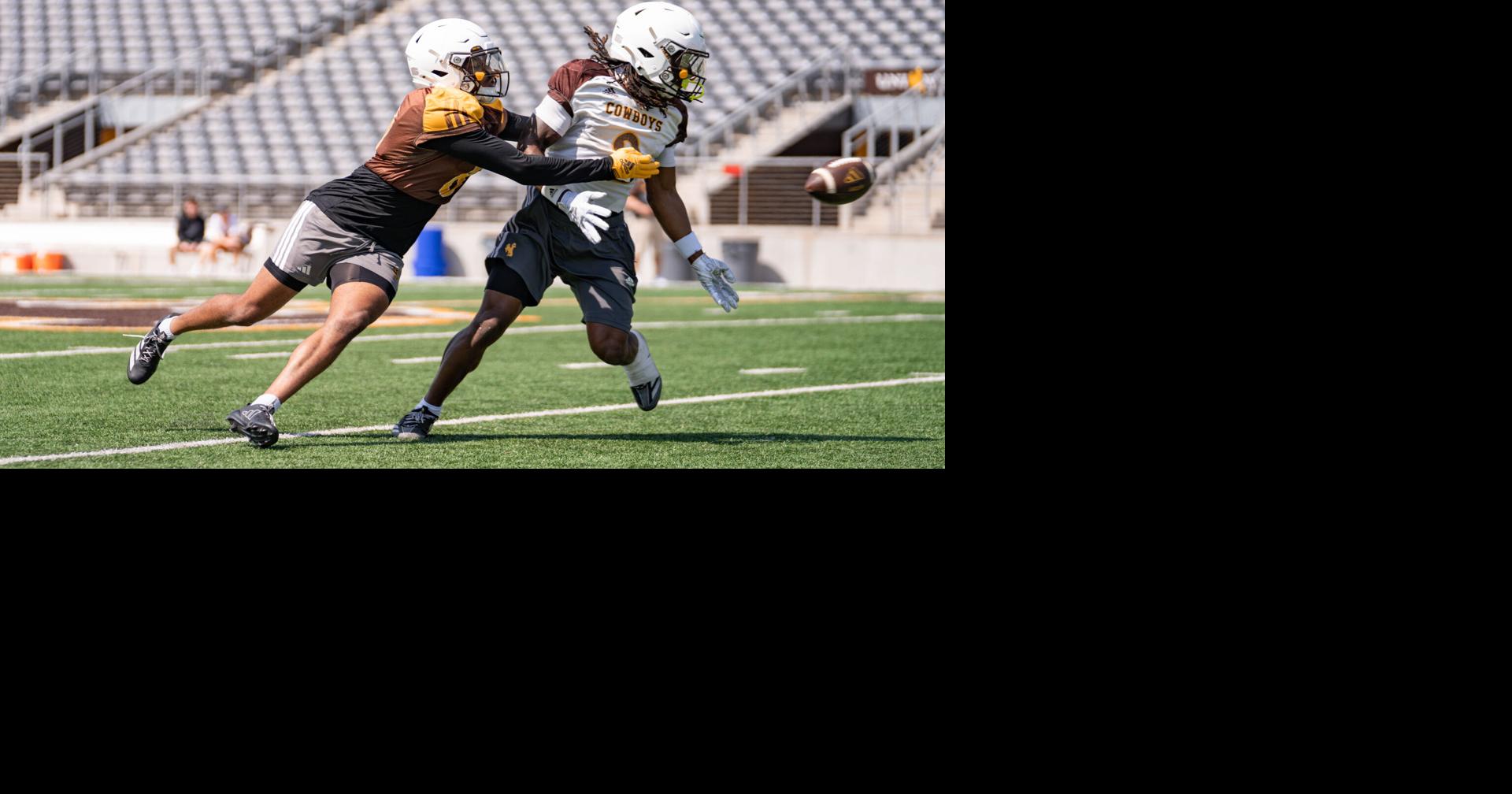 Jay Sawvel says this could be Wyoming’s best defense yet. Here’s why