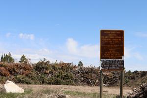 060226-nws-burnpile3.JPG