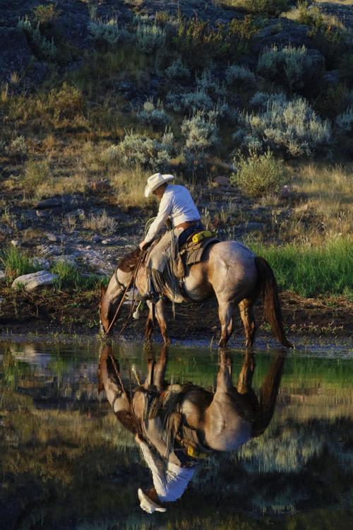 Cowboy reflection