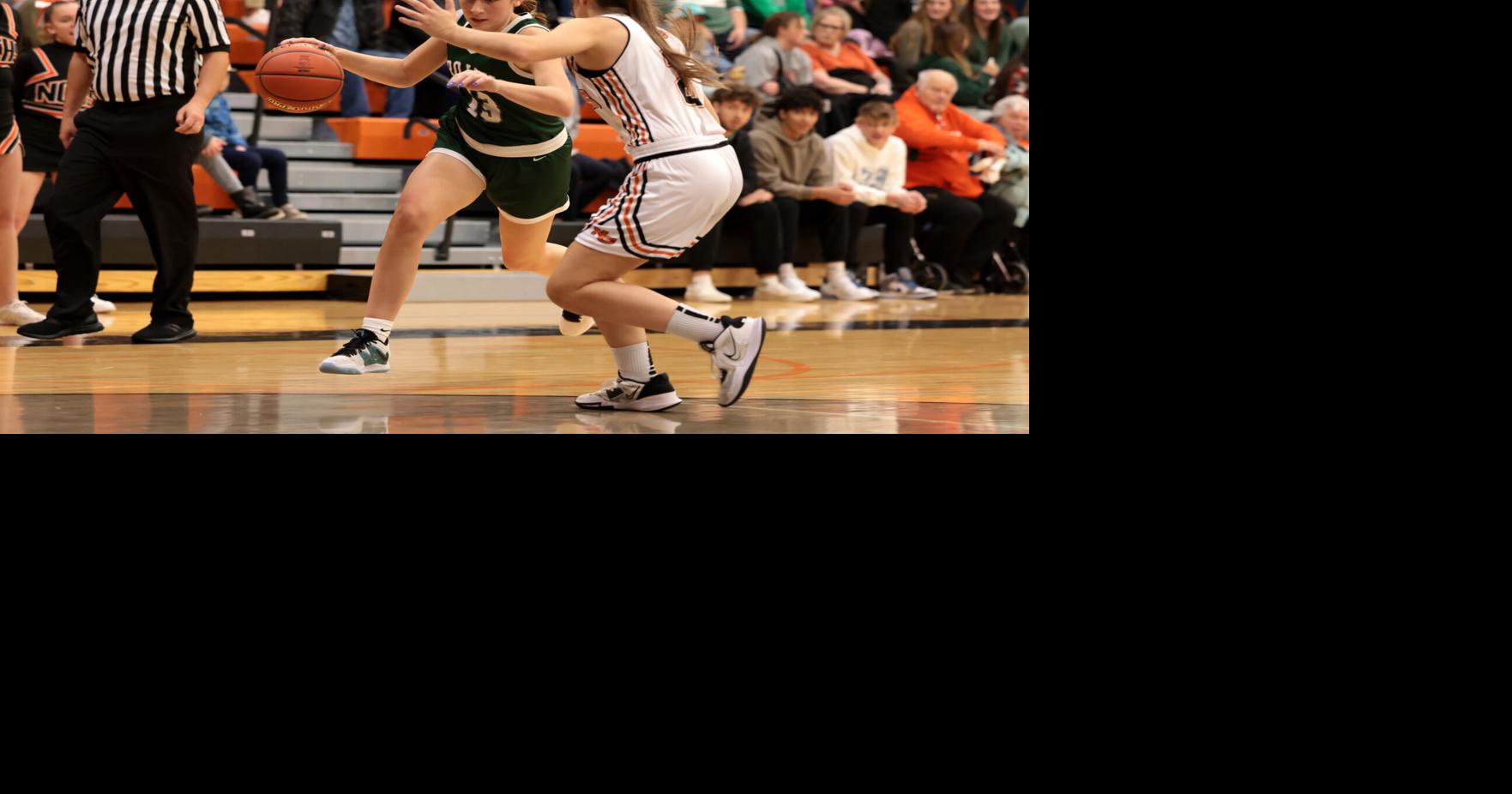 Girls basketball scores Jan. 1620