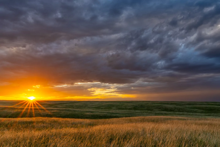 DSC2022-HDR.png