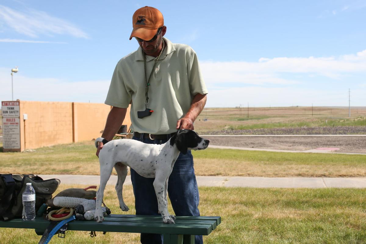 Start right to build the best bird dog Open Spaces