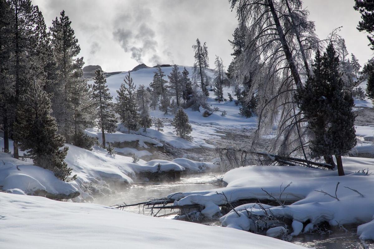 Yellowstone volcano eruptions caused 80year winters, researchers say