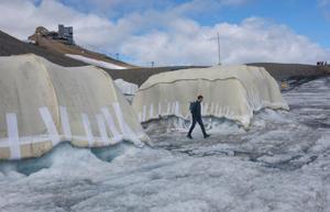 Can sheep save the glaciers? Swiss scientists put wool to the test