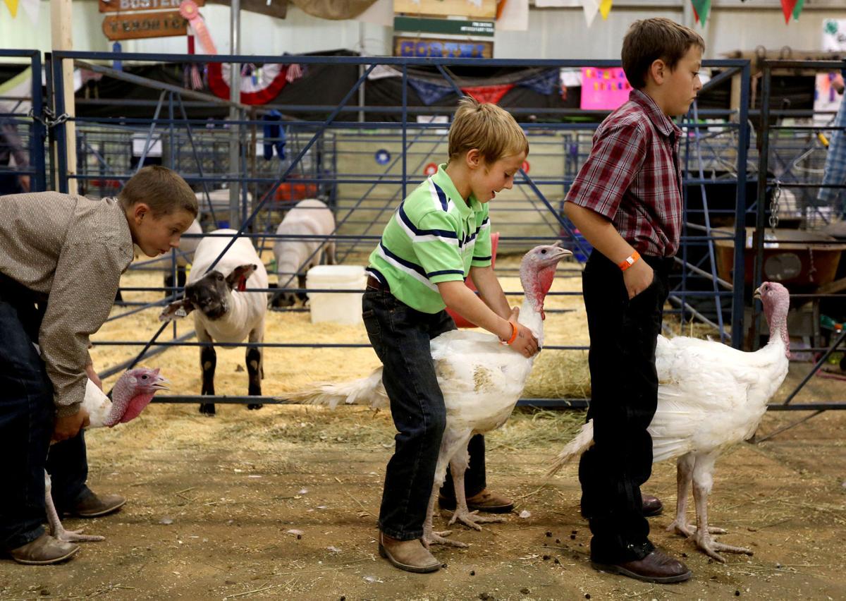 Five things to do at the Central Wyoming Fair and Rodeo this weekend