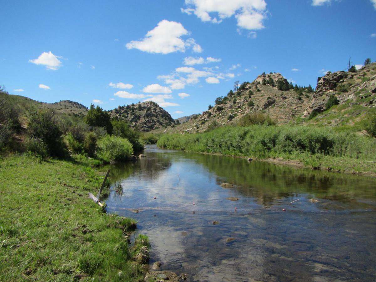 Laramie river chub