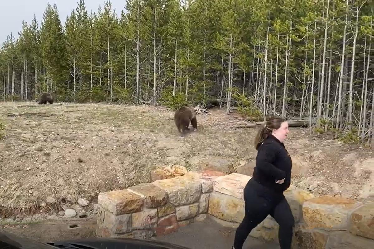 Park bear woman