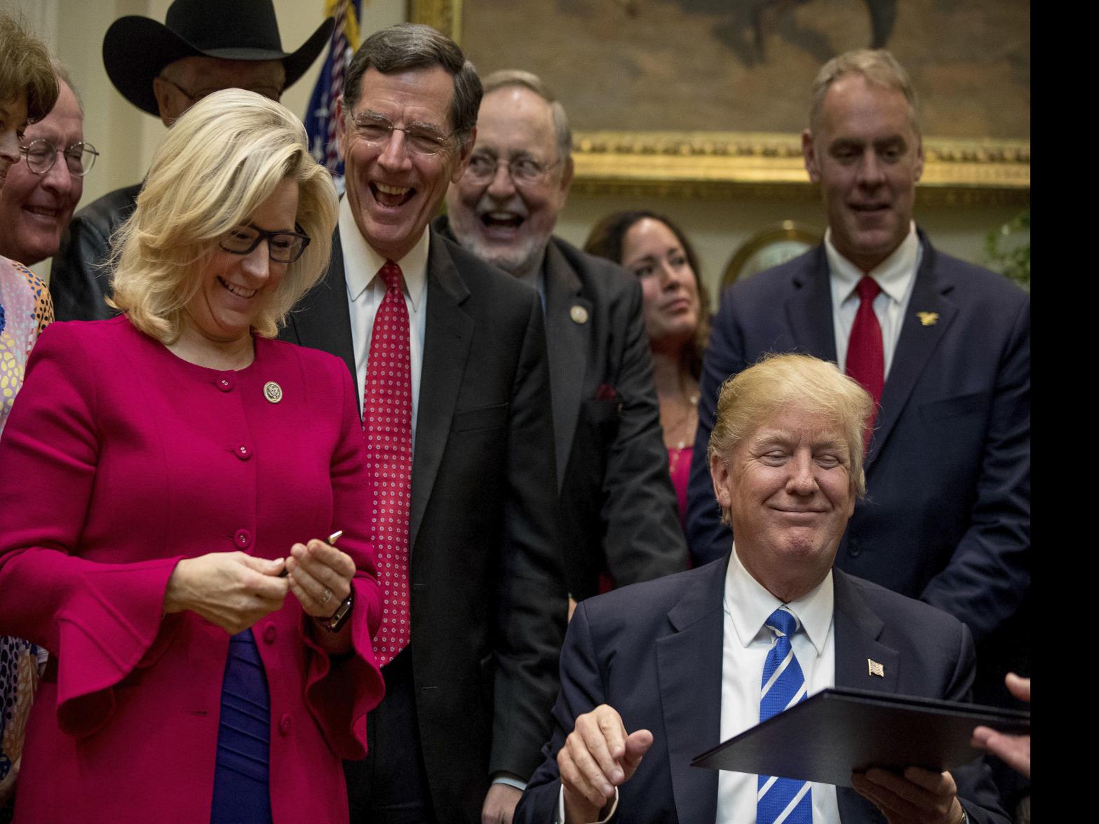 Trump The Liz Cheneys Of The World We Have To Get Rid Of Them 307 Politics Trib Com