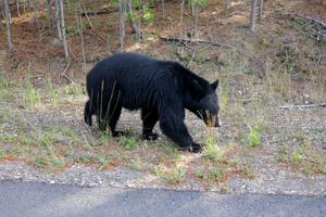 August 10 recap: Wyoming news you may have missed today