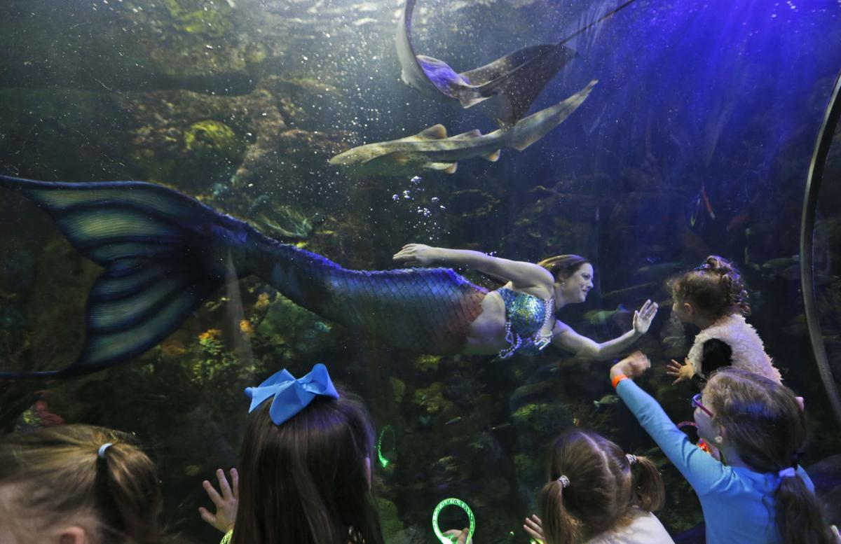 Photos Aquarium mermaids promote the sea, conservation National
