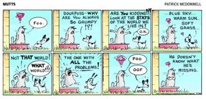 Page D5 eedition image