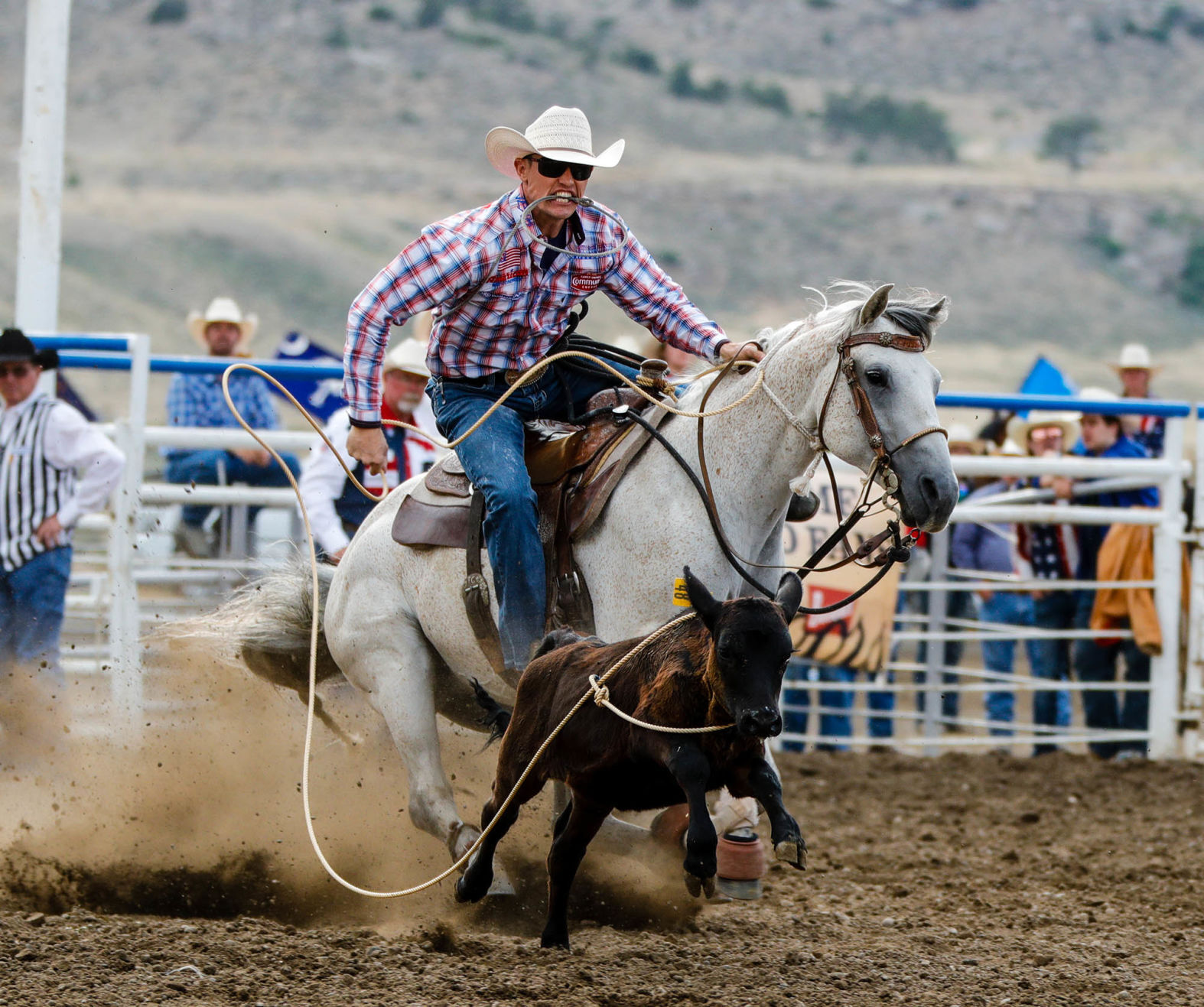 Tuf Cooper wins tie down roping at Cody Stampede for second year