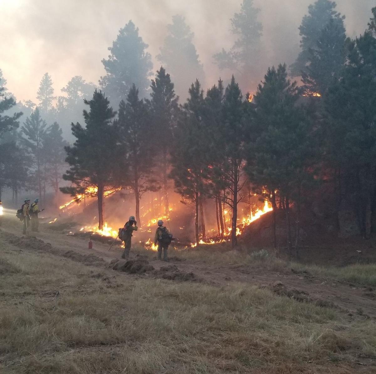 Pine Haven Fire