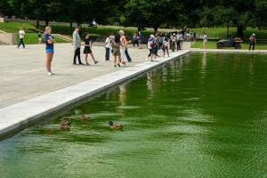 USA-250/REFLECTING POOL