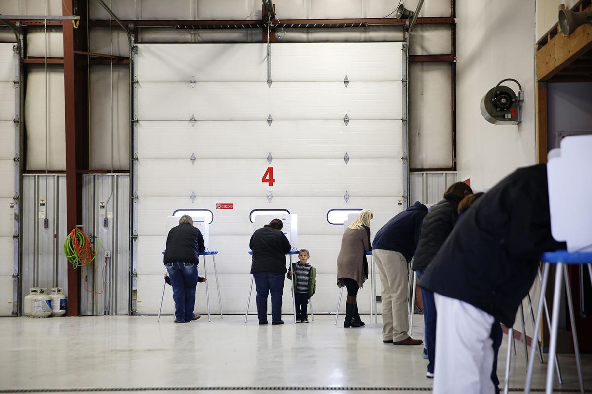 Voting