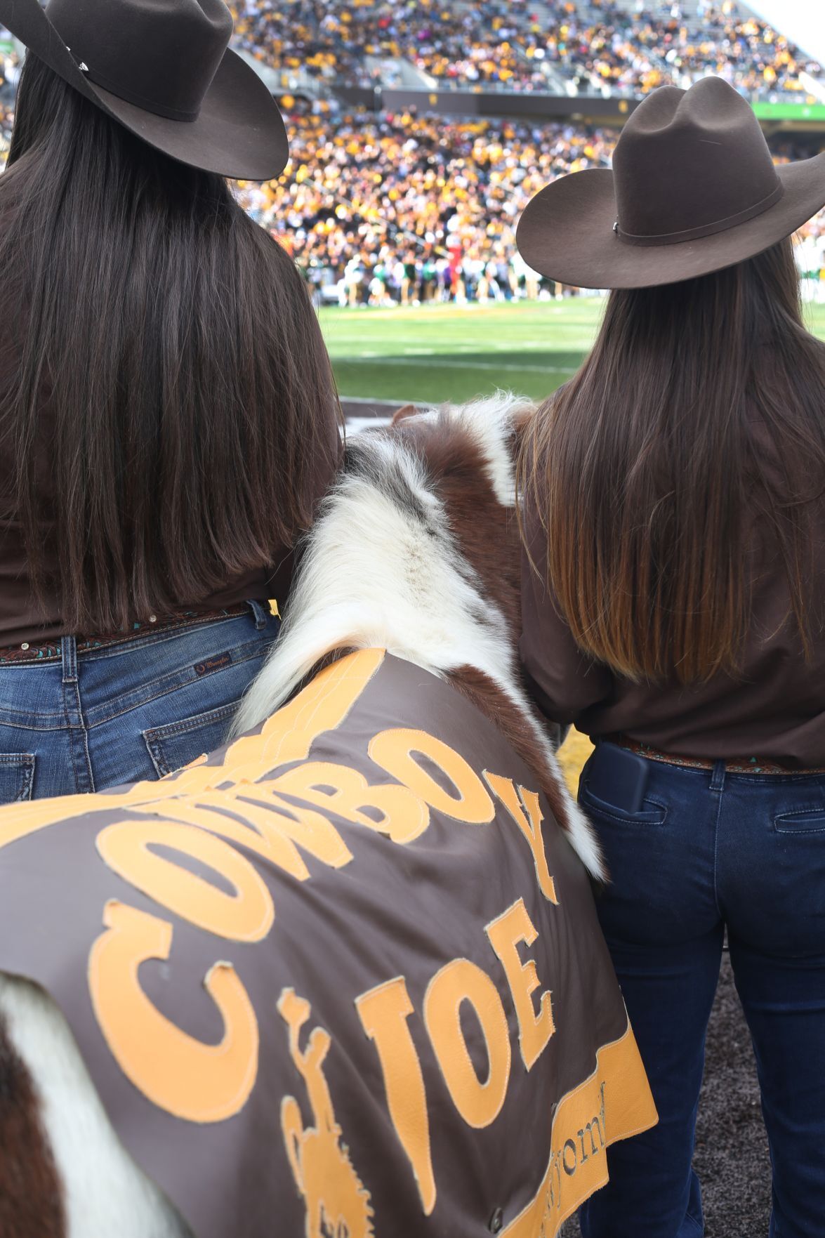 The Wyoming Cowboys defeat the CSU Rams 31-17