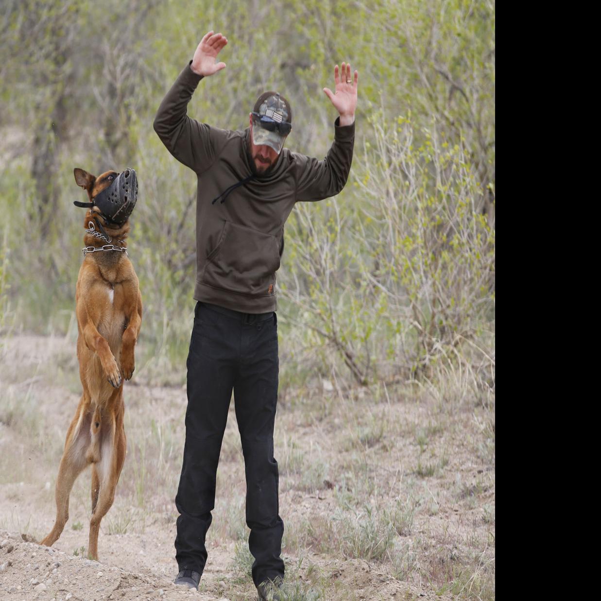 15 Police Dogs And Their Handlers Complete Certification In
