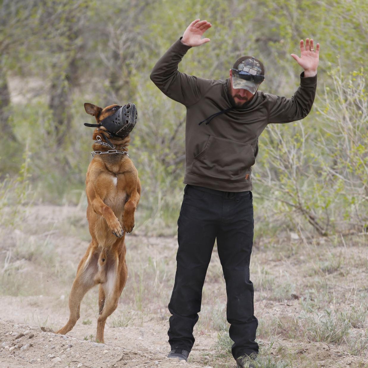 15 Police Dogs And Their Handlers Complete Certification In