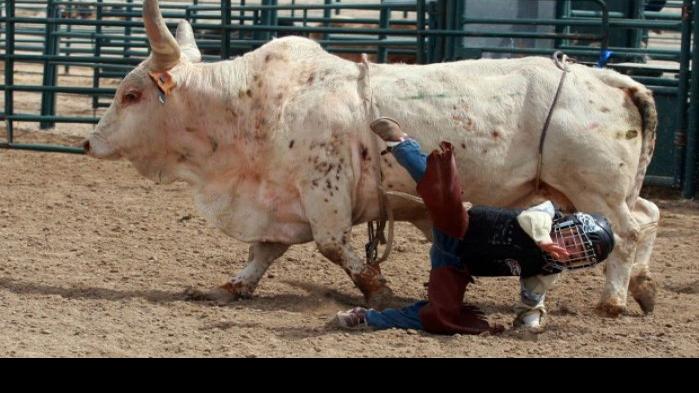 Mini Bull Riding Uploadedphotos