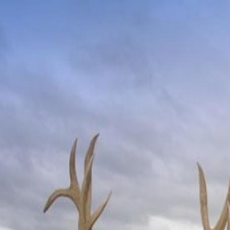 Outdoor Icon Made His Name Still Lives In Wyoming Updates Trib Com