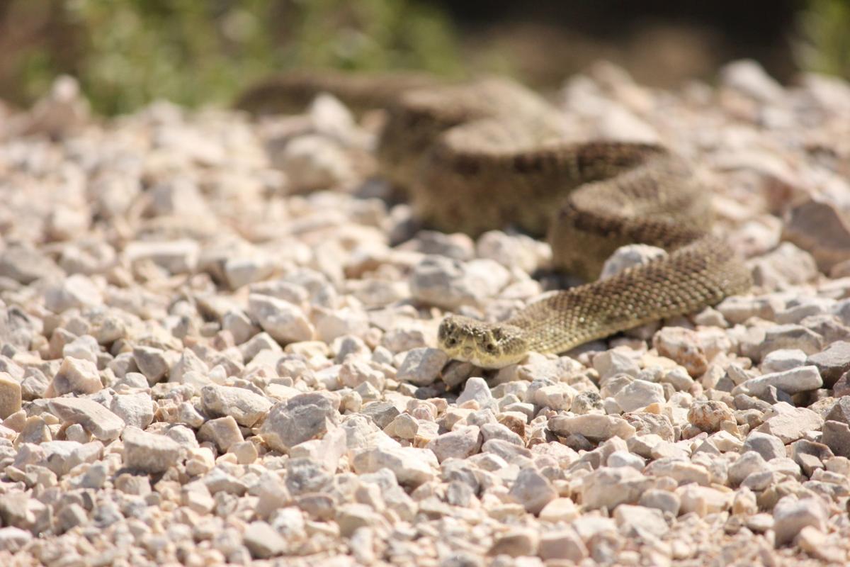 Three wild Wyoming scenarios and how to come out OK Open Spaces