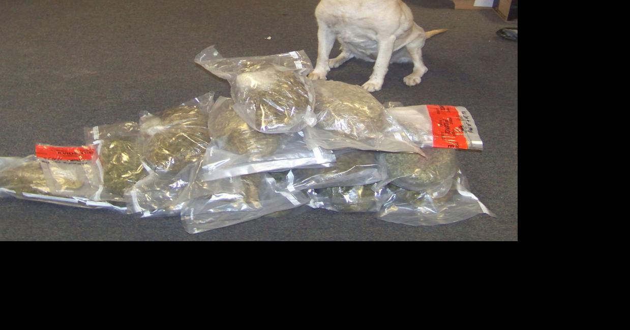 Wyoming Supreme Court rules drug dogs can sniff car exteriors without cause