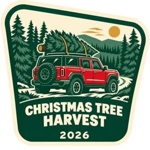 christmas tree.jpg