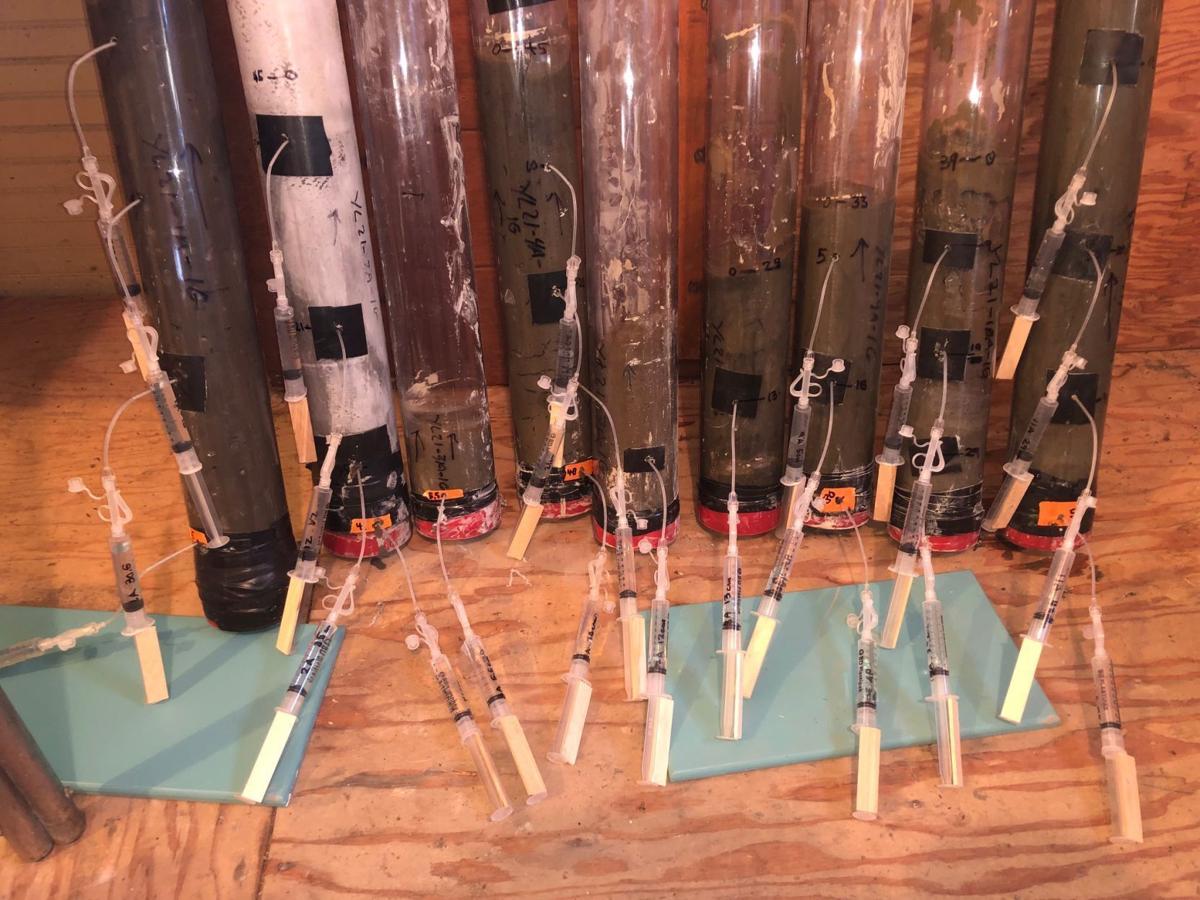 Core samples