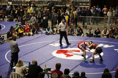 By any measure, girls wrestling is off to a gold medal start in Wyoming